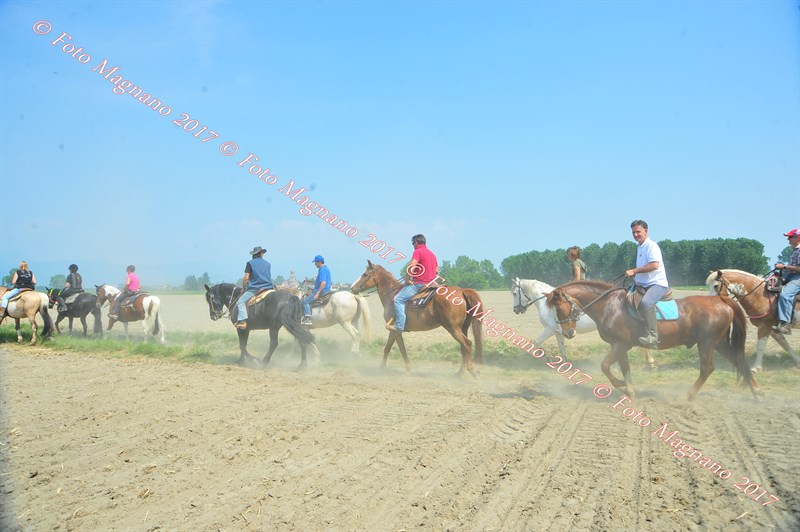 DSC_0836.JPG